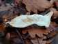 Óriás tölcsérgomba (Infundibulicybe geotropa), Budai-hegység